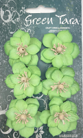 GREEN TARA FLOWERS - LOTUS - APPLE XF14064Ap
